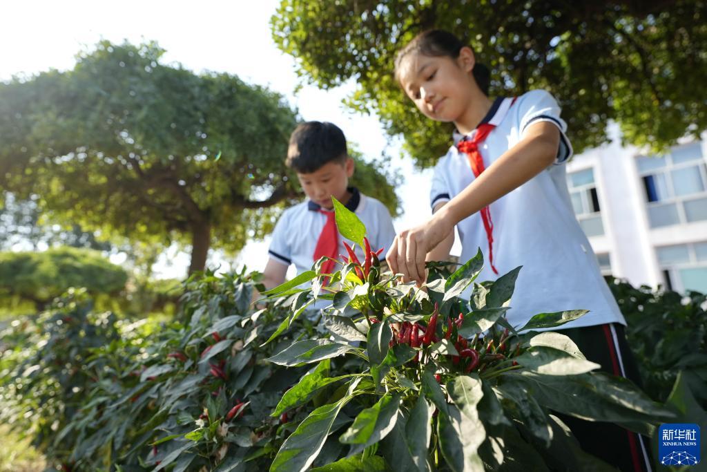 美高梅集团